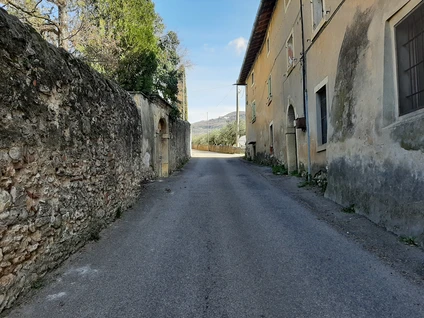 Wine walk in Valpolicella among terraced vineyards 0