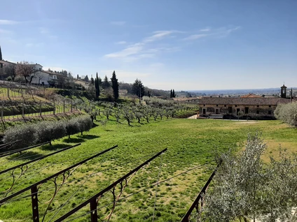 Wine walk in Valpolicella among terraced vineyards 12
