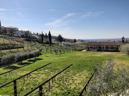 Weinwanderung im Valpolicella zwischen Weinbergen und Marognen 12