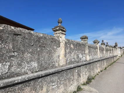 Passeggiata enologica in Valpolicella tra vigneti e marogne 13