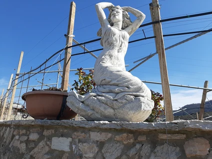 Wine walk in Valpolicella among terraced vineyards 14