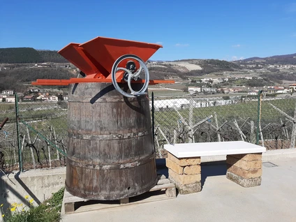 Wine walk in Valpolicella among terraced vineyards 17