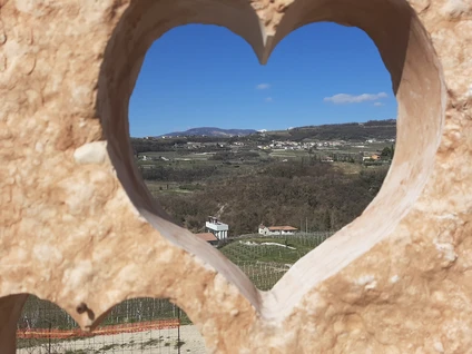 Wine walk in Valpolicella among terraced vineyards 1