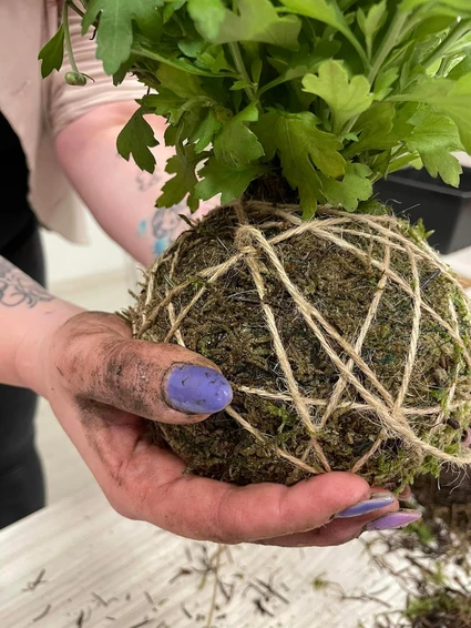 Creating a Kokedama in a floral workshop with expert botanist 11