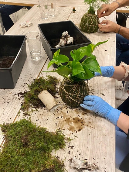 Creating a Kokedama in a floral workshop with expert botanist 12