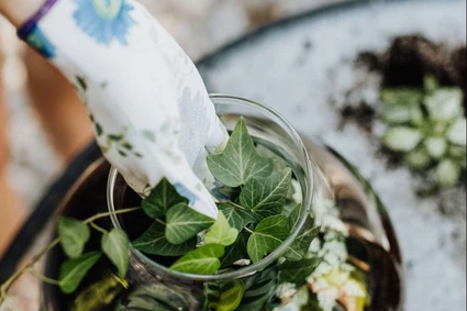 Terrarienkurs am Gardasee mit einem erfahrenen Blumendesigner