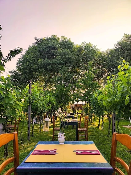 Cena in vigneto in una cascina dell’800 nell’entroterra del Lago di Garda 3 Cena in vigneto in una cascina dell’800 nell’entroterra del Lago di Garda 3