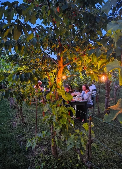 Cena in vigneto in una cascina dell’800 nell’entroterra del Lago di Garda 5 Cena in vigneto in una cascina dell’800 nell’entroterra del Lago di Garda 5