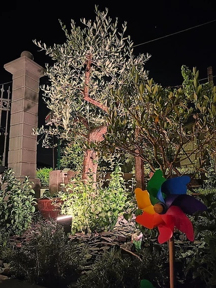 Cena in vigneto in una cascina dell’800 nell’entroterra del Lago di Garda 7 Cena in vigneto in una cascina dell’800 nell’entroterra del Lago di Garda 7