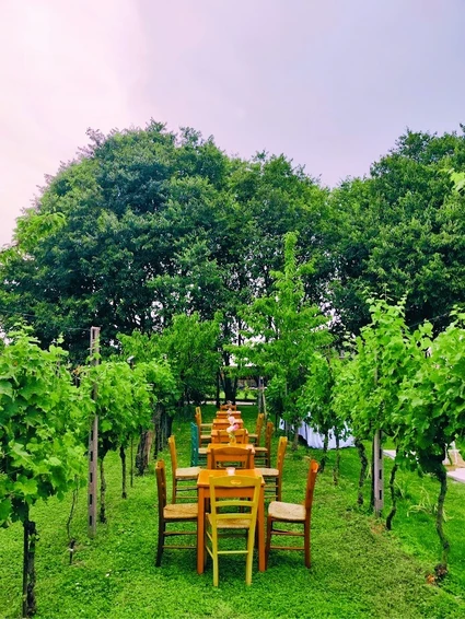 Cena in vigneto in una cascina dell’800 nell’entroterra del Lago di Garda 9 Cena in vigneto in una cascina dell’800 nell’entroterra del Lago di Garda 9