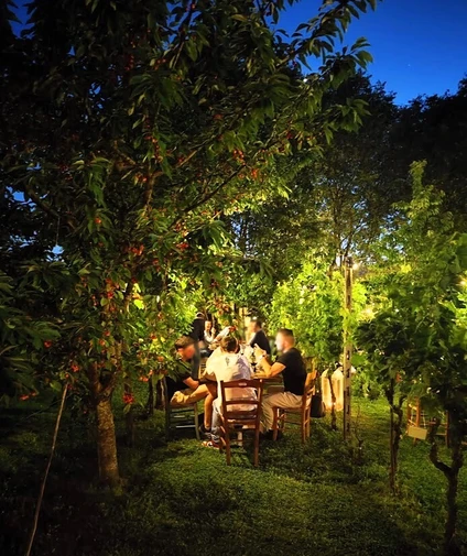 Cena in vigneto in una cascina dell’800 nell’entroterra del Lago di Garda 10 Cena in vigneto in una cascina dell’800 nell’entroterra del Lago di Garda 10