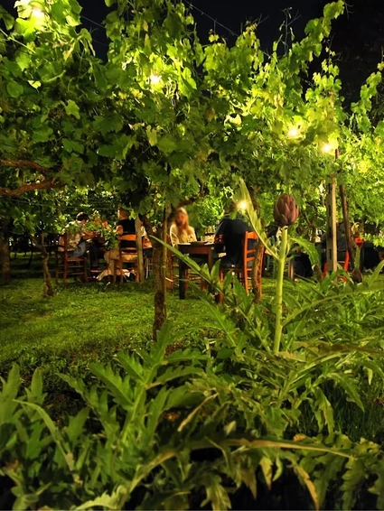 Cena in vigneto in una cascina dell’800 nell’entroterra del Lago di Garda 16 Cena in vigneto in una cascina dell’800 nell’entroterra del Lago di Garda 16