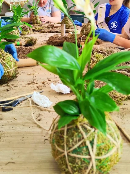 L’Arte Gentile del Verde: Workshop Botanici e Kokedama nelle campagne del Garda