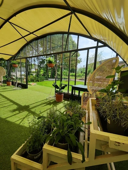 L’Arte Gentile del Verde: Workshop Botanici e Kokedama nelle campagne del Garda 3