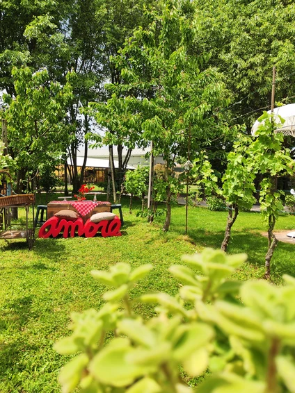 Picnic gourmet nel vigneto di un casale dell’800 2 Picnic gourmet nel vigneto di un casale dell’800 2