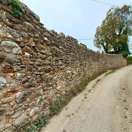 Degustazione di vini Lugana nella cantina più piccola del Lago di Garda 9