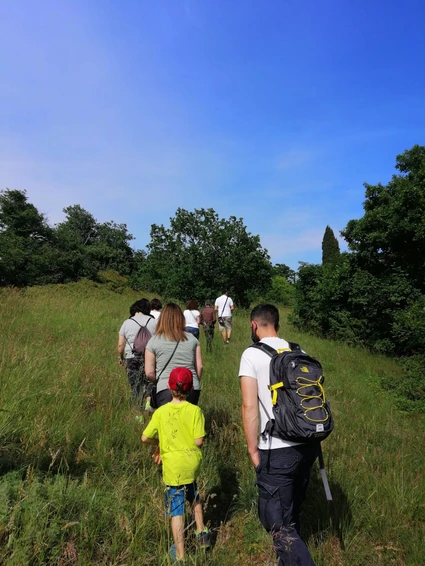 Spaziergang mit Botaniker zur Entdeckung der Heilkräuter des Gardasees 6