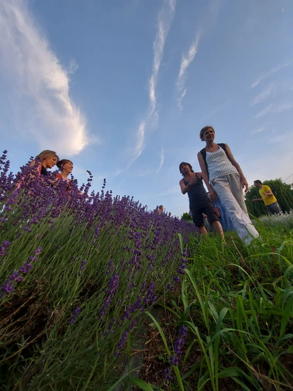 Spaziergang mit Botaniker zur Entdeckung der Heilkräuter des Gardasees 12