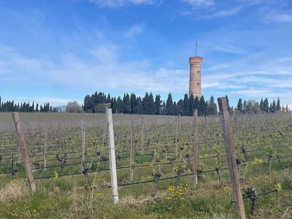 Verkostung von DOC-Weinen in einem Weinkeller in Desenzano del Garda 5