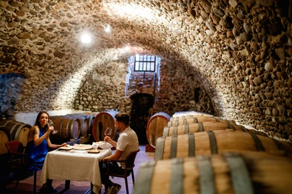 Wine tasting in a barrique cellar on Lake Garda: a unique experience 3