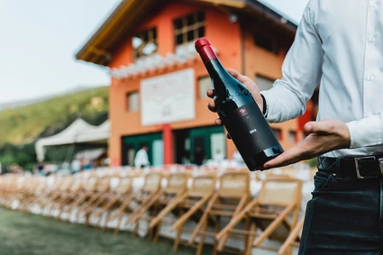 Wine tasting in a Trentino winery in the Valle dei Laghi 5