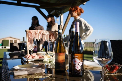 Lugana wines tasting in a vineyard at Lake Garda 3