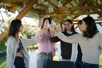 Degustazione di vino Lugana in vigneto al Lago di Garda 5