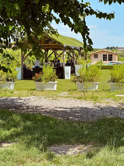 Lugana Weinverkostung im Weinberg am Gardasee 16