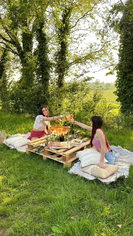 Picknick in den Weinbergen der Moränenhügel des Gardasees 9