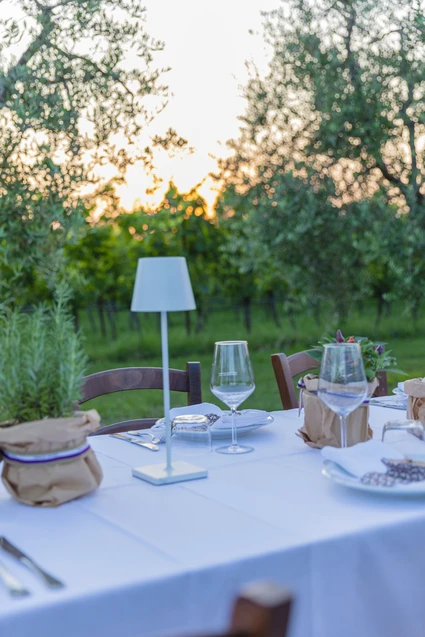 Tour e degustazione di vini Lugana sul Lago di Garda, esperienza unica 8