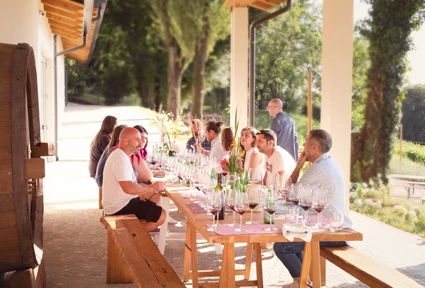 Degustazione di vino al Lago di Garda in azienda agricola con merenda 7
