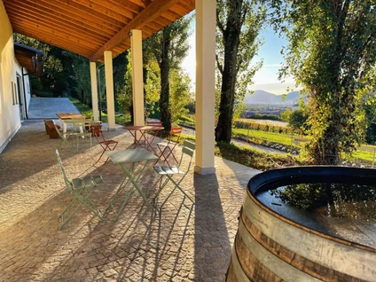 Degustazione di vino al Lago di Garda in azienda agricola con merenda 5
