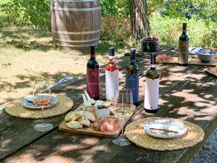 Romantic picnic on Lake Garda amid nature and organic products