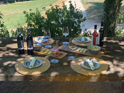 Wine tasting at Lake Garda on a farm with snack 18