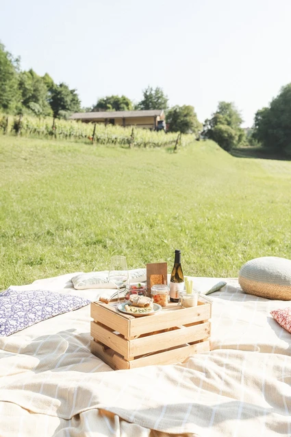 Picnic romantico sul Lago di Garda tra natura e prodotti biologici 0 Picnic romantico sul Lago di Garda tra natura e prodotti biologici 0