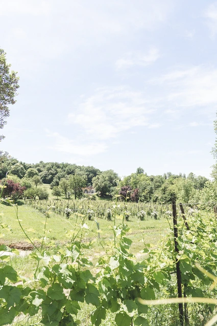 Picnic romantico sul Lago di Garda tra natura e prodotti biologici 2 Picnic romantico sul Lago di Garda tra natura e prodotti biologici 2