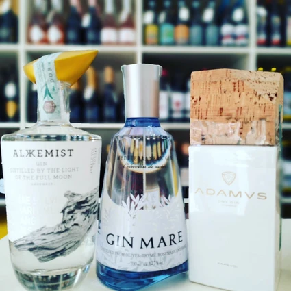 Degustazione di Gin Artigianale Italiano con Gin Tonic Personalizzato 5