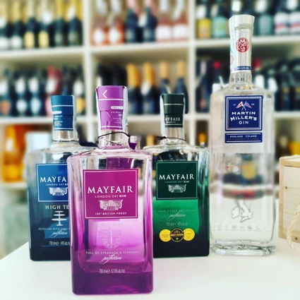 Degustazione di Gin Artigianale Italiano con Gin Tonic Personalizzato