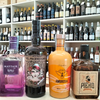 Degustazione di Gin Artigianale Italiano con Gin Tonic Personalizzato 7