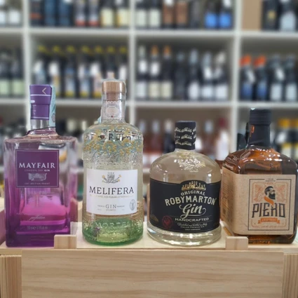 Degustazione di Gin Artigianale Italiano con Gin Tonic Personalizzato 8