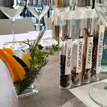 Degustazione di Gin Artigianale Italiano con Gin Tonic Personalizzato 1
