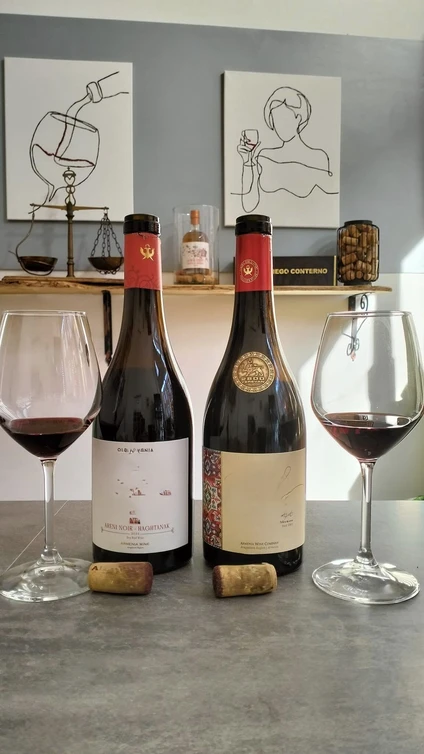 Degustazione di cinque vini locali in enoteca al Lago di Garda 11