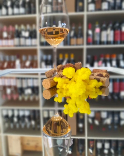 Degustazione di cinque vini locali in enoteca al Lago di Garda 6