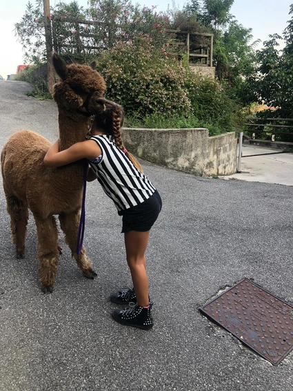 Visita alla Fattoria degli alpaca e passeggiata nell’entroterra del Lago di Garda 0