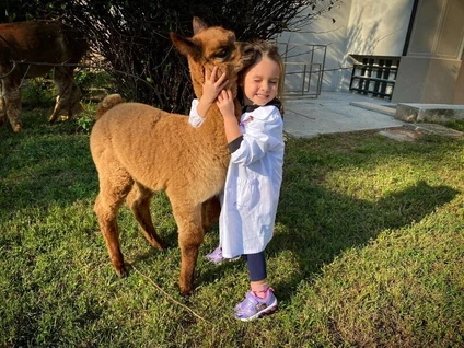 Passeggiata con alpaca al Lago di Garda 12