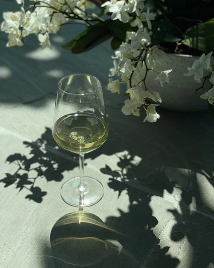 Tour e degustazione di vini Lugana sul Lago di Garda, esperienza unica 5