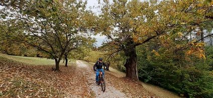 Cantina Pisoni bike tour and Marocche single trail with tasting 12