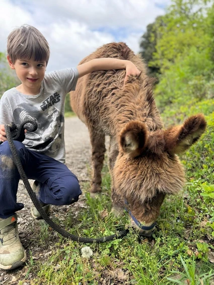 Spaziergang mit Eseln und Besuch eines didaktischen Bauernhofs in Garda Trentino 0 Spaziergang mit Eseln und Besuch eines didaktischen Bauernhofs in Garda Trentino 0