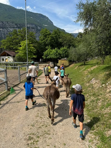 Spaziergang mit Eseln und Besuch eines didaktischen Bauernhofs in Garda Trentino 1 Spaziergang mit Eseln und Besuch eines didaktischen Bauernhofs in Garda Trentino 1