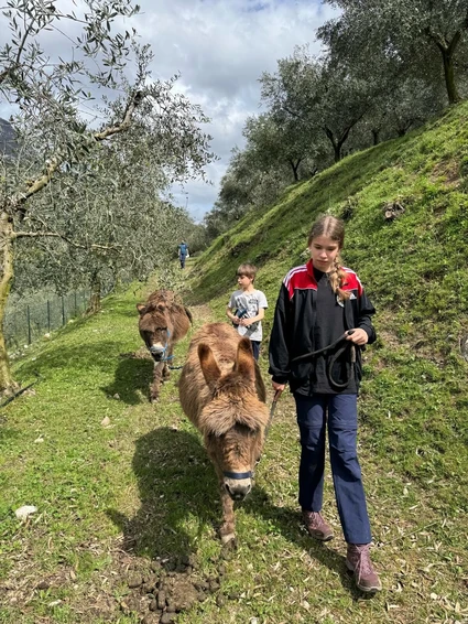 Spaziergang mit Eseln und Besuch eines didaktischen Bauernhofs in Garda Trentino 2 Spaziergang mit Eseln und Besuch eines didaktischen Bauernhofs in Garda Trentino 2